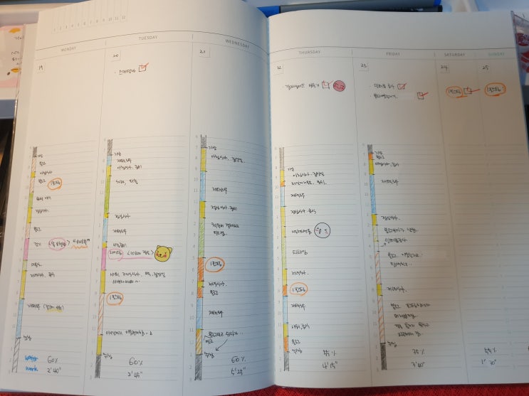  데일리리포트 7주차 & 지난 일주일 일상