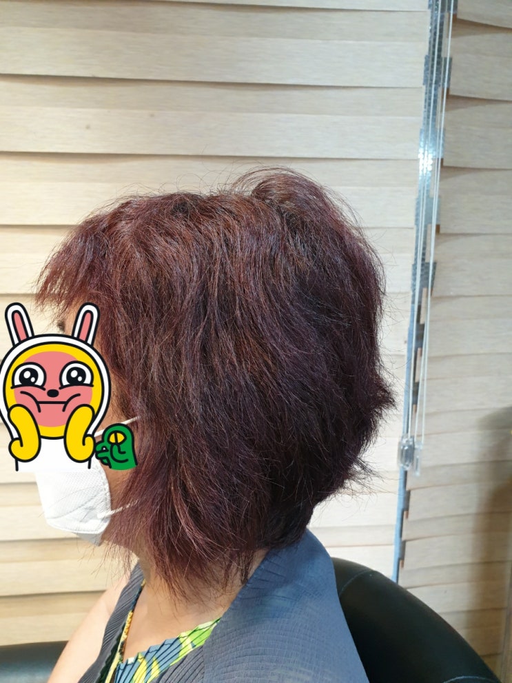  복구매직 중년여성 후기