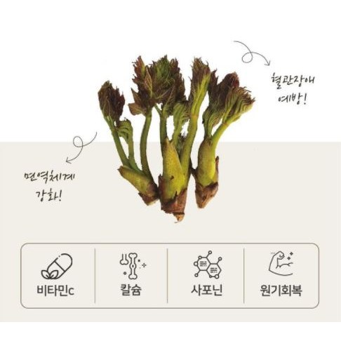인기 급상승인 참두릅 1kg 좋아요 인기 급상승인 참두릅 1kg 좋아요