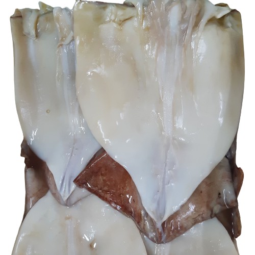 가성비 좋은 어울림씨푸드 손질 할복 오징어(냉동) 5kg(8/10미) 추천합니다 가성비 좋은 어울림씨푸드 손질 할복 오징어(냉동) 5kg(8/10미) 추천합니다