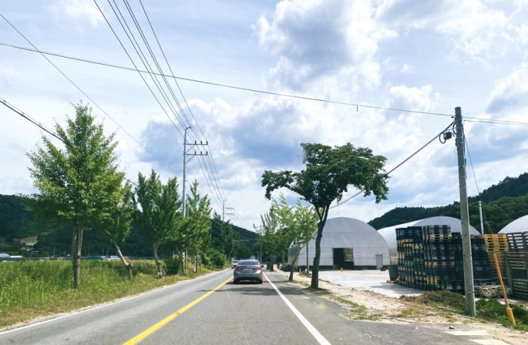 동상계곡 전주 근교 계곡 추천 ‘국제산장’