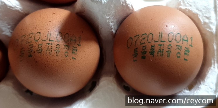 계란 등급과 동물복지 닭 사육 환경 (ft. 난각 이력 번호 표시 사항 확인 방법)