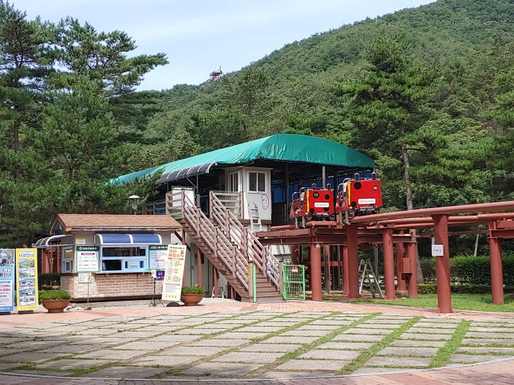 충청북도 보은여행 (솔향공원 : 속리산 스카이바이크)