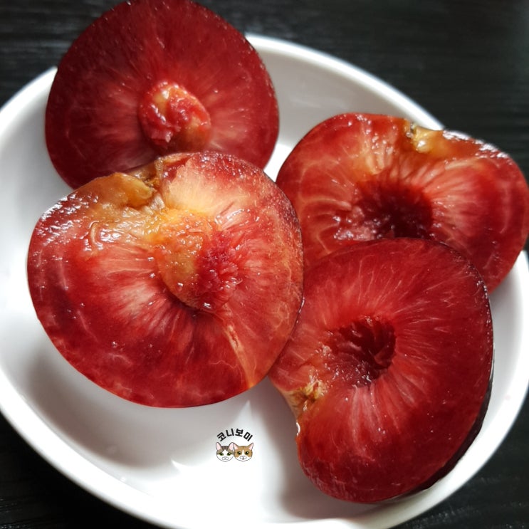 요즘 핫한 나디아 체리자두 솔직 후기.... 음 ... 요즘 핫한 나디아 체리자두 솔직 후기.... 음 ...