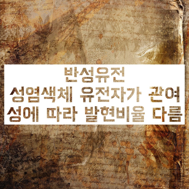 반성유전 한성유전 종성유전 정의와 차이 구분 방법 알아보자! : 네이버 블로그