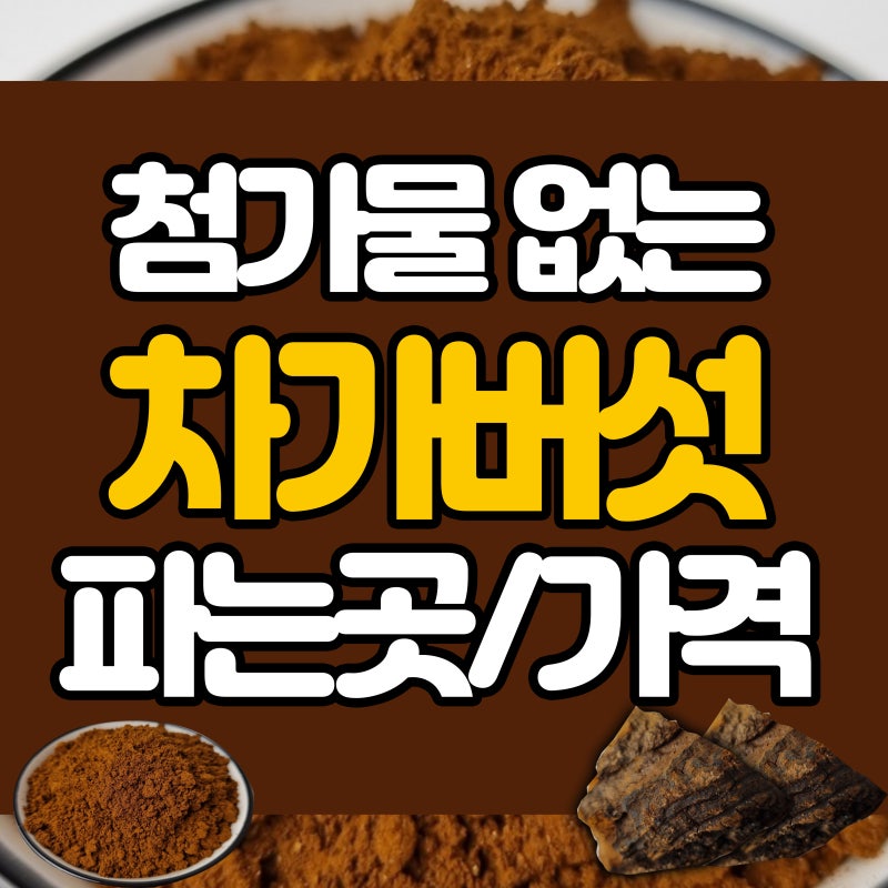 차가버섯 분말 효능과 러시아산 환 즙 먹는방법 부작용까지 확인하세요 2