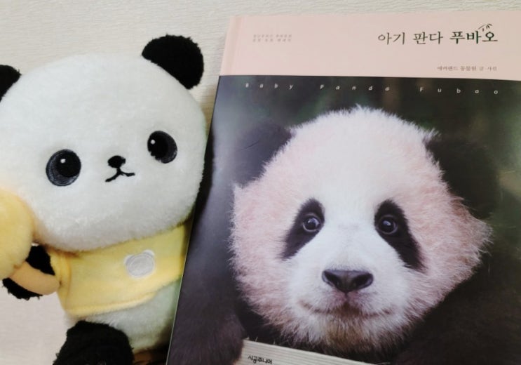  아기 판다 푸바오 #포토북 #포토에세이 #시공주니어