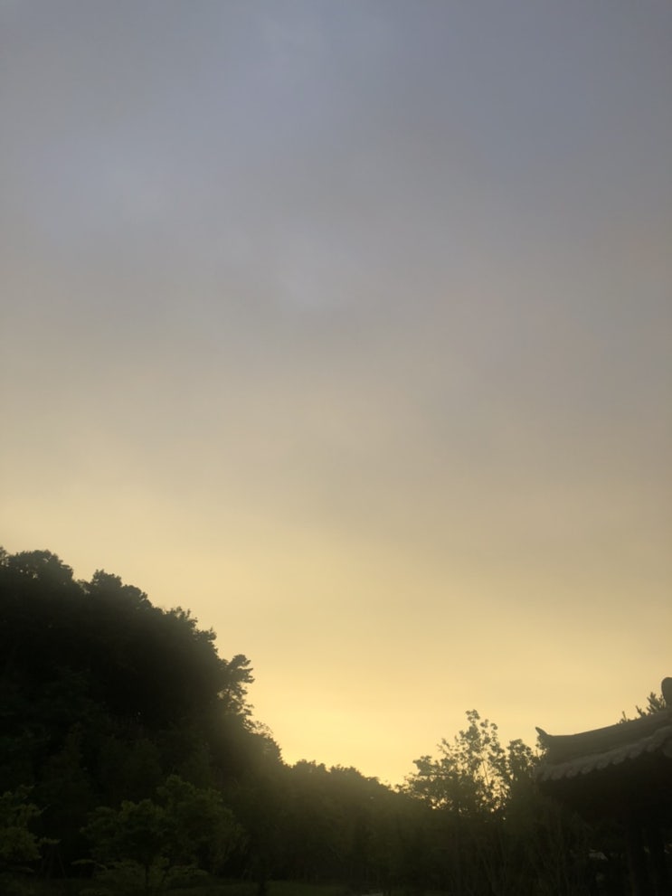  여름소리를 배달합니다
