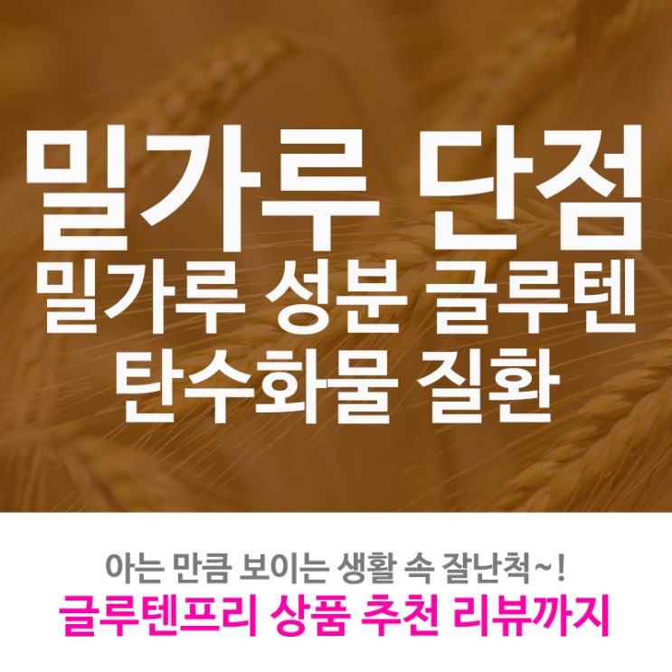  밀가루 단점/ 밀가루가 안좋은 점/탄수화물 질환