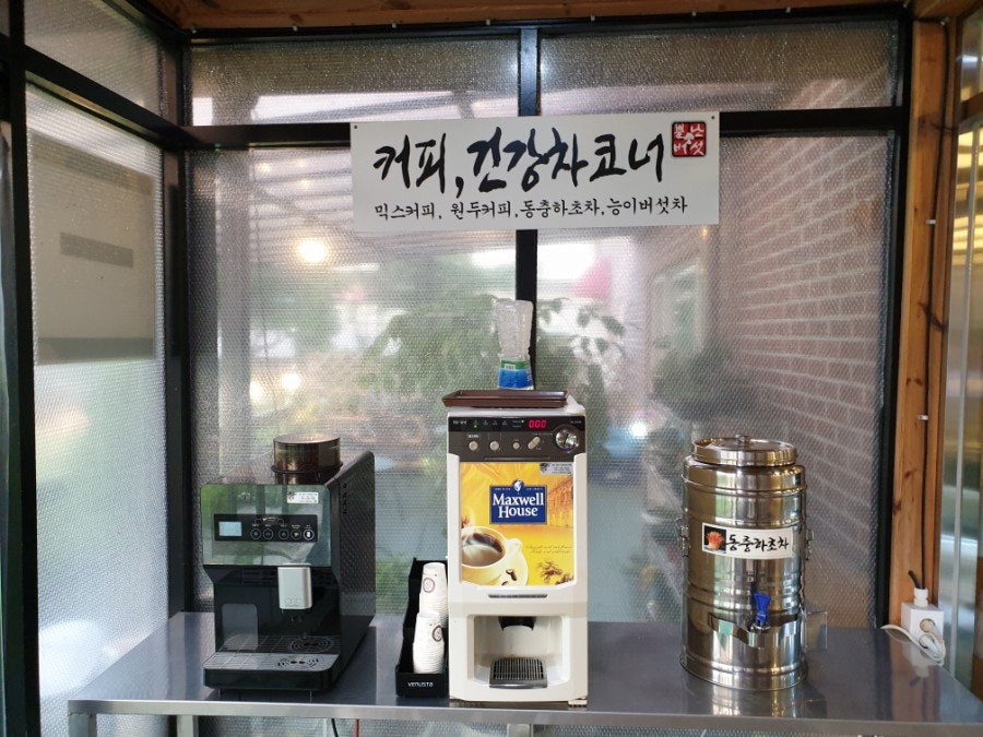 뿔난버섯 사진 5