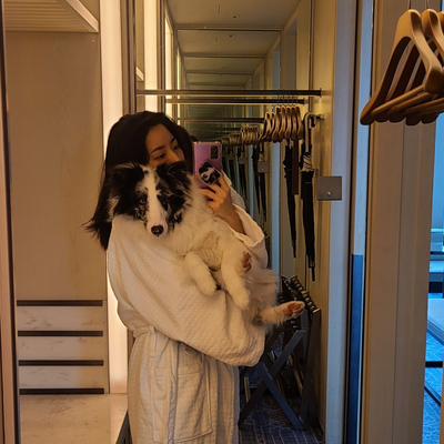  [광화문/포시즌호텔 서울] 애견동반 포시즌 호텔, 펫패키지, 인룸다이닝 조식, 광화문 24시 반려동물 용품 상점