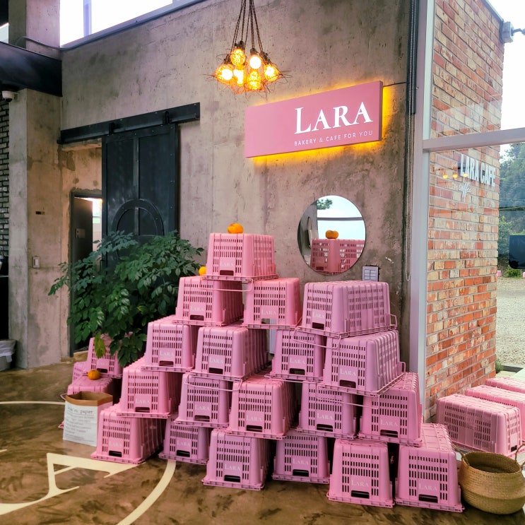 [Lara Cafe 라라 카페] 제주 애월 애견 동반 핑크 대형 베이커리 카페