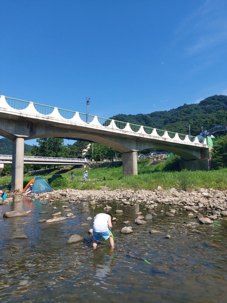 가평/청평 산장관광지 아는사람만 가는 계곡!