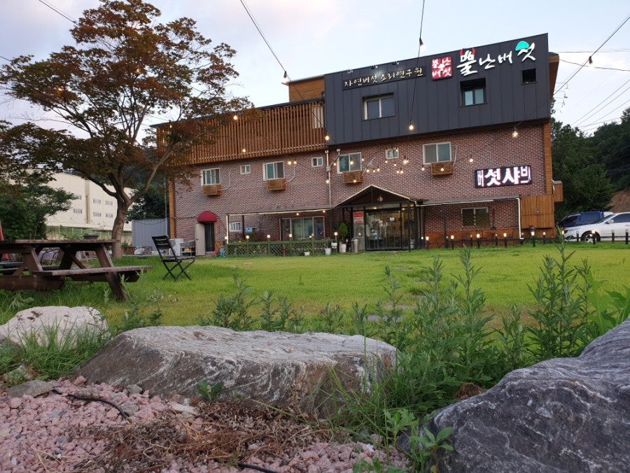뿔난버섯 사진 4