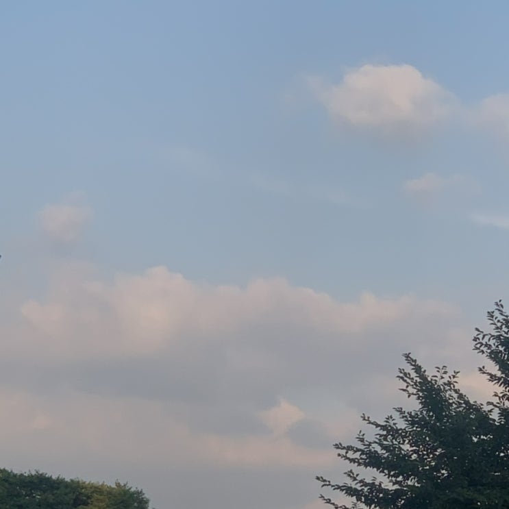  오늘 하늘 2021.7.26-27