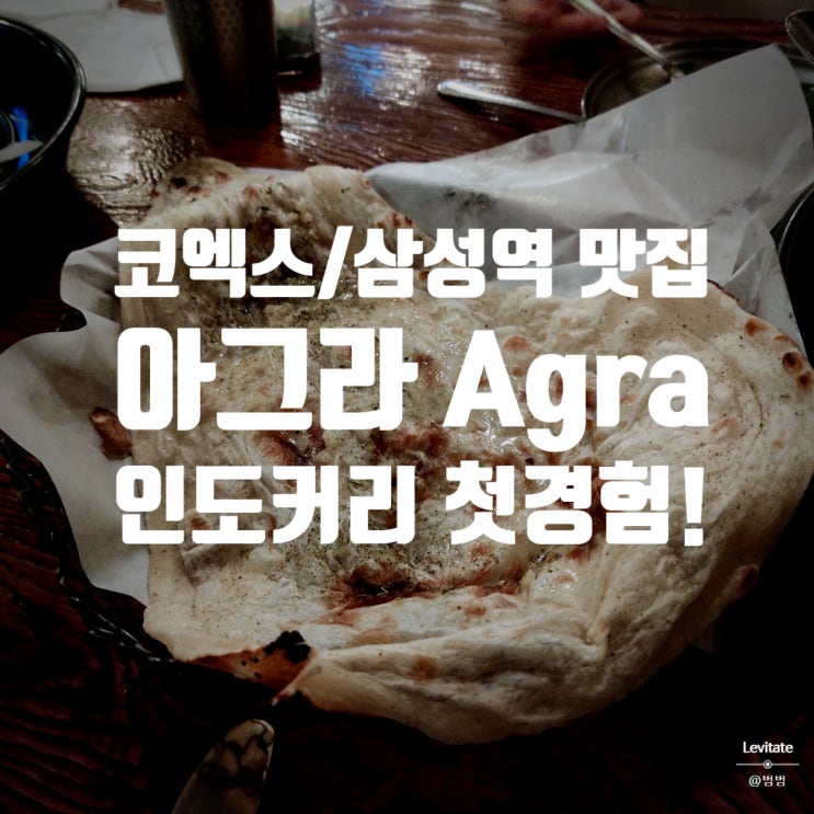  코엑스 맛집 아그라 :: 인도 커리로 유명한 삼성역 맛집 Agra