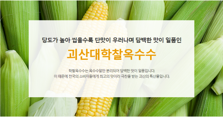  여름엔 괴산 대학찰옥수수