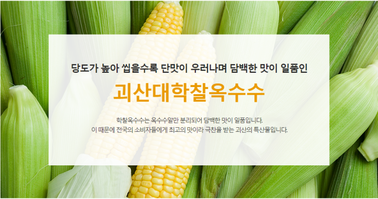 여름엔 괴산 대학찰옥수수