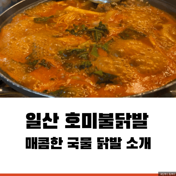  일산 라페스타맛집 호미불닭발 매운 국물닭발 후기