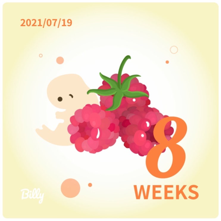  [임신 8-9주차] 별일 없던 8주차 / 충주 별산부인과 3차 진료