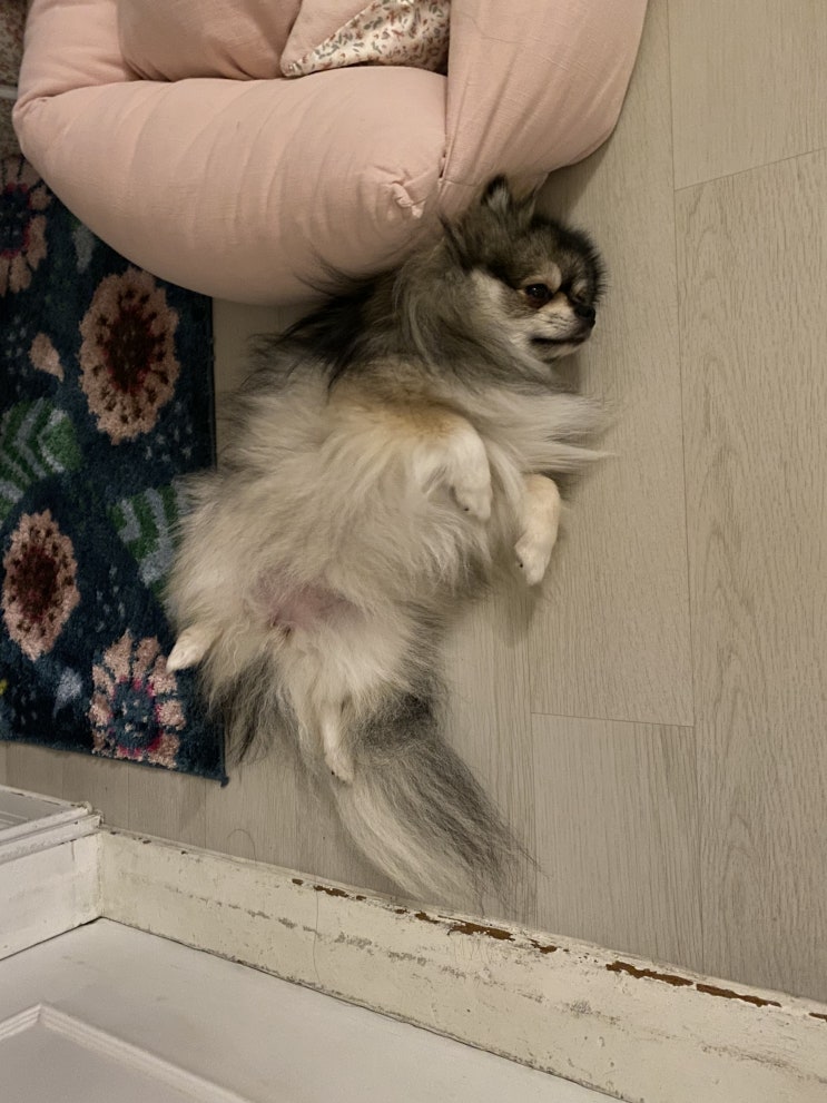  오늘의 꾸꾸