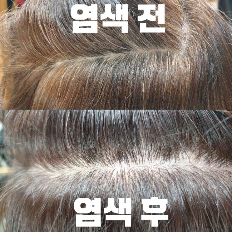 용운동 미용실 [바바라헤어] 새치 커버 염색약 염색 색상