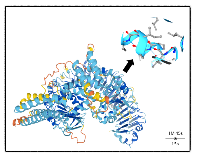 [과학기사 분석 및 정리] 구글 딥마인드 AI '알파폴드2'를 활용한 단백질 접힘 및 구조 예측, 코로나 변이 확산 막을 수 있나?