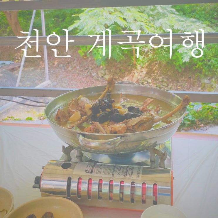  시원한 물이 흐르는 7월의 천안 (길손쉼터 오리백숙, 산수펜션 후기)