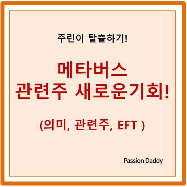  메타버스 새로운 기회 의미 뜻 관련주 대장주 ETF 살펴보기