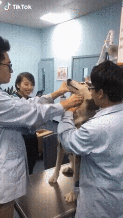  야....약 먹기 싫어....(낼름)
