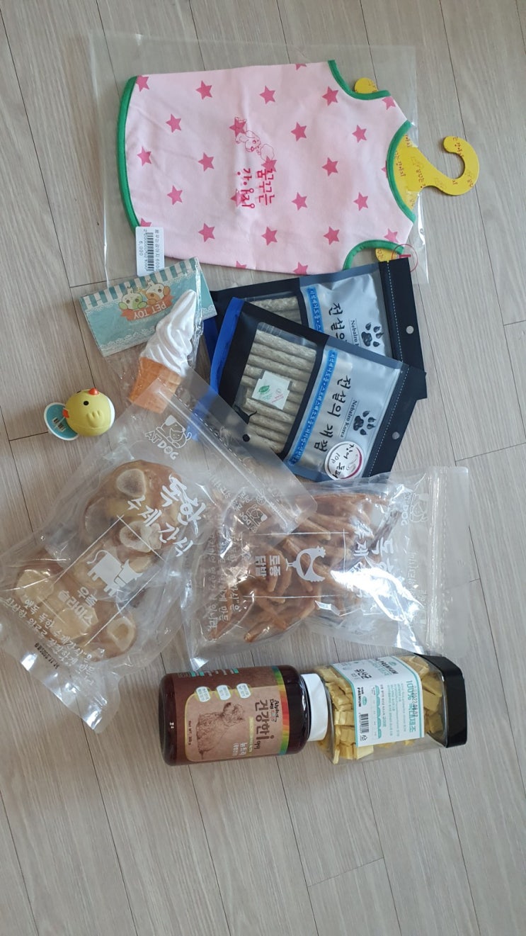  펫 클럽 쇼핑 이후!