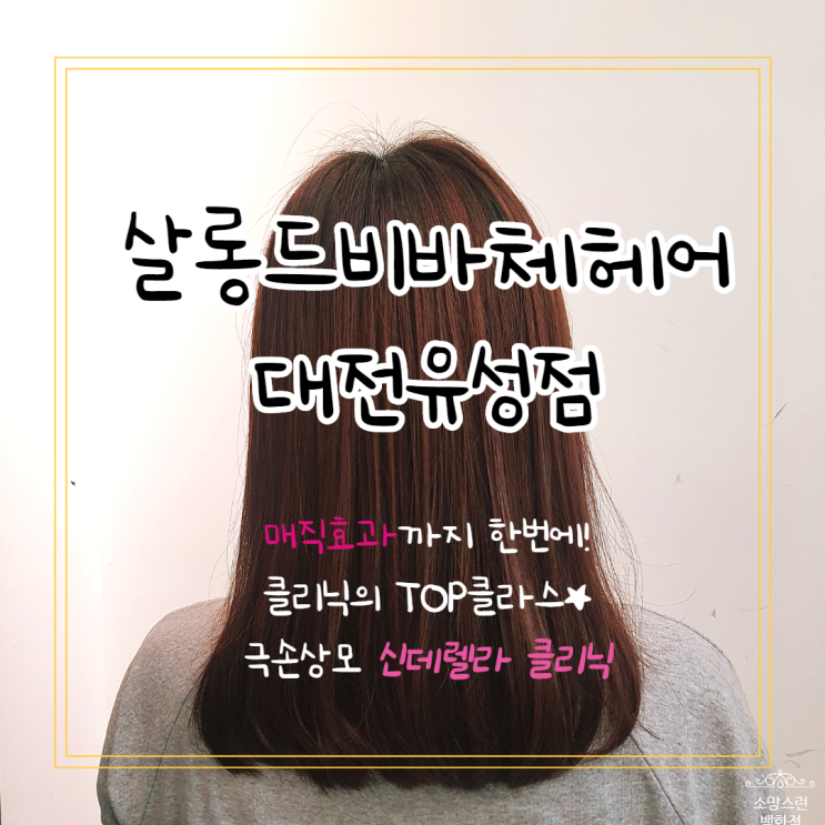  봉명동 미용실 / 살롱드비바체헤어 대전유성점 / 매직효과까지 있는 극손상모 신데렐라클리닉