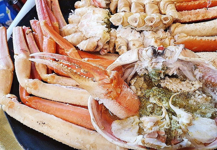  극찬했던 강구항 맛집 리스트