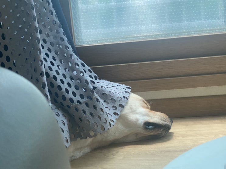  계산동미용학원 / 정어링의 일주일