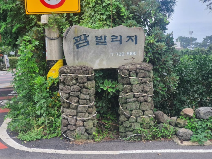  [제주도/여행/숙소] 제주도 여행 두 번째 숙소, 멋진 바다뷰와 수영장이 있는 '비스비제주 앤 팜빌리지'