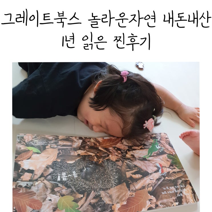  26개월부터 읽어왔던 4세 자연관찰 그레이트북스자연관찰/ 놀자 꼼꼼후기 (개정판 랜선책들이)