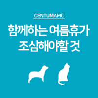  반려동물과 함께하는 여름휴가 조심해야할 것