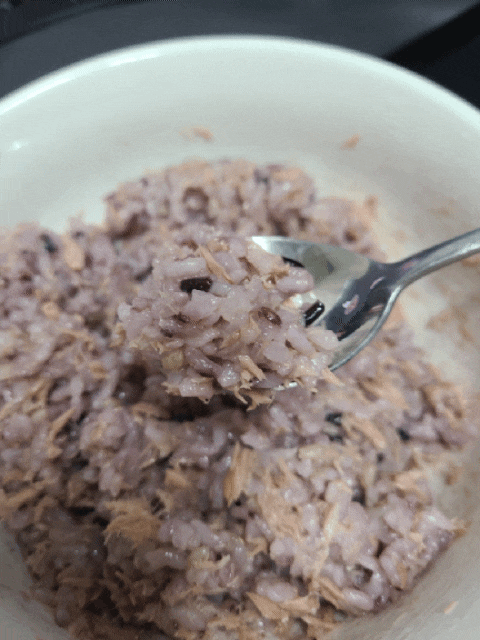  된장찌개 재료로 통조림 참치비빔밥 만들기 레시피