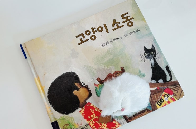  고양이 소동 / 에즈라 잭 키츠 그림책 / 비룡소 그림책
