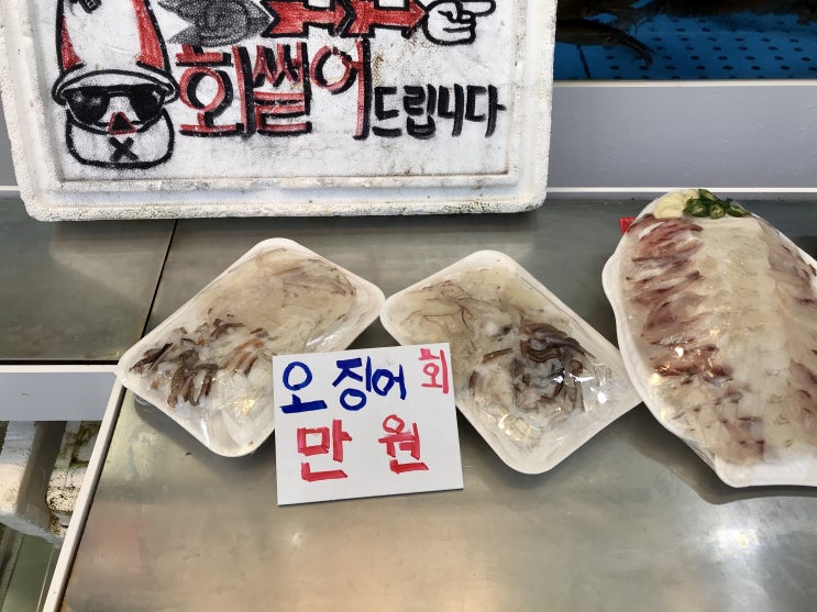 속초관광수산시장 대일회할인마트 오징어회 포장