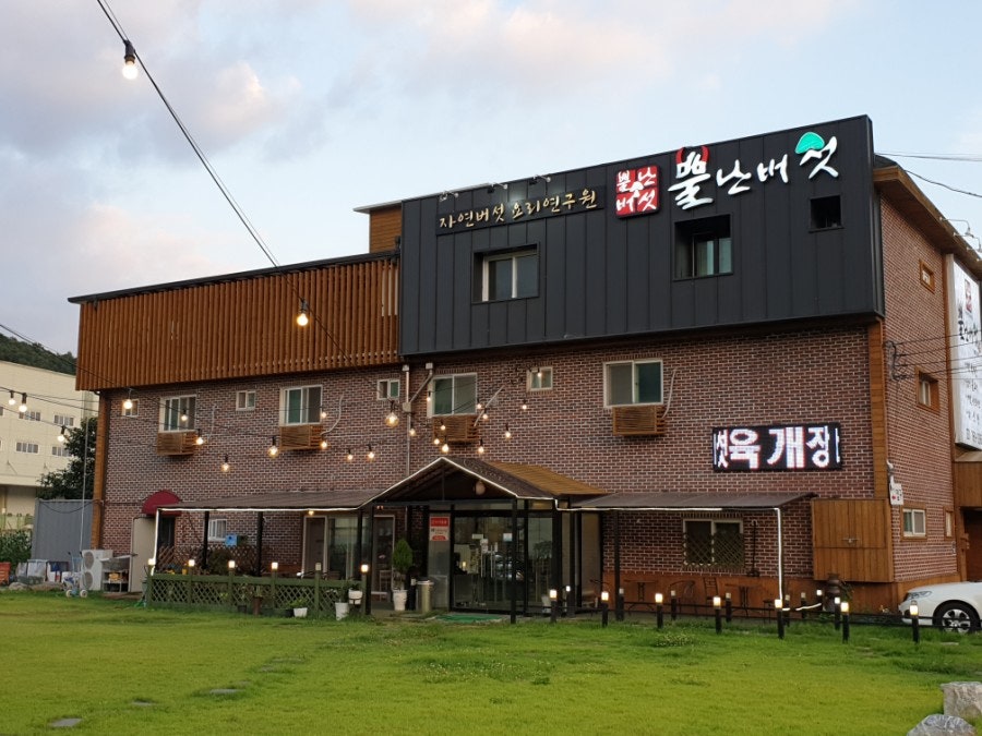 뿔난버섯 사진 3