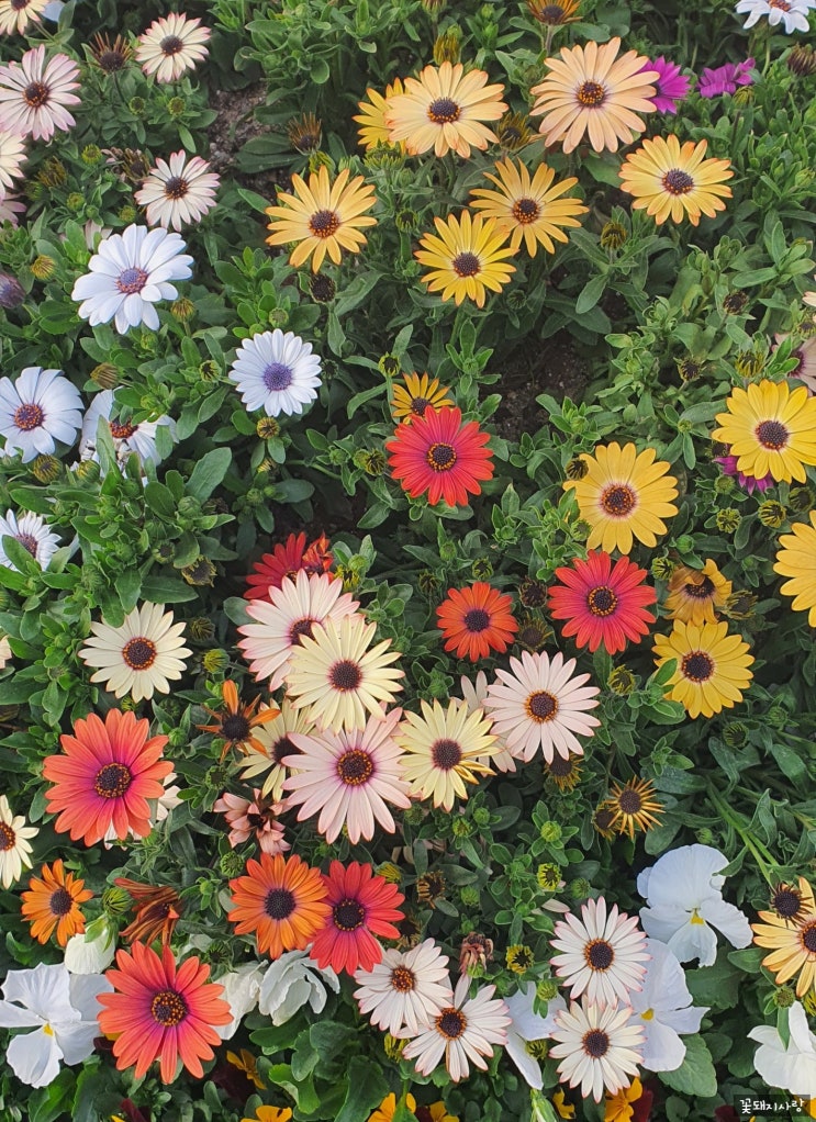  목적이 이끄는 삶, Day 6