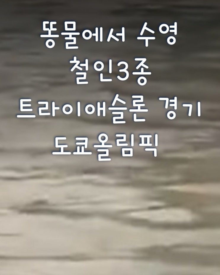똥물에서 수영 철인3종  트라이애슬론 경기 도쿄올림픽