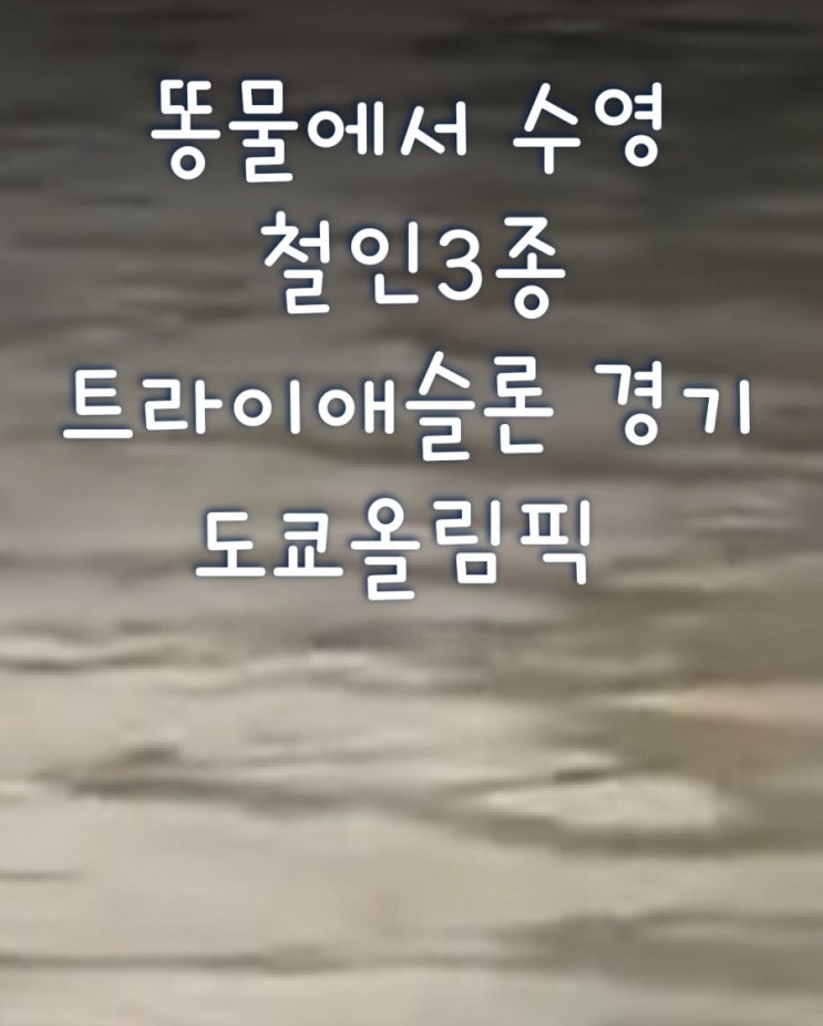  똥물에서 수영 철인3종  트라이애슬론 경기 도쿄올림픽