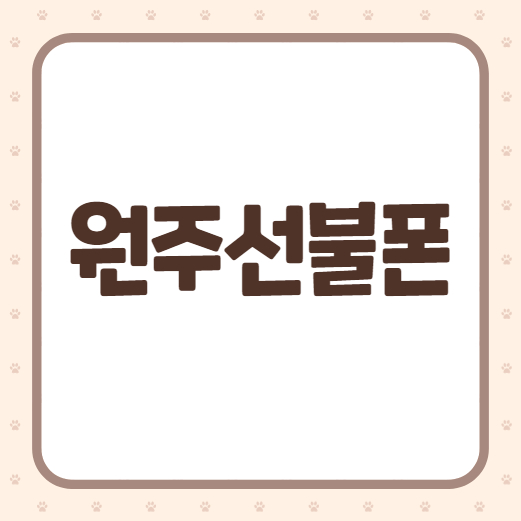  원주선불폰 쓰던 폰 그대로 비대면 개통됩니다
