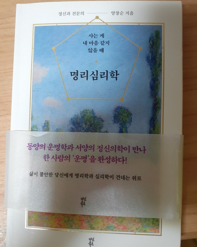 책추천리뷰 사는게 내 마음 같지 않을때 명리심리학