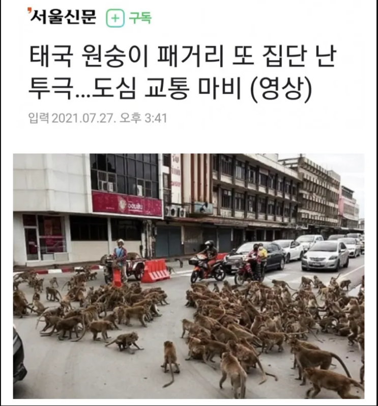  태국 길거리 패싸움
