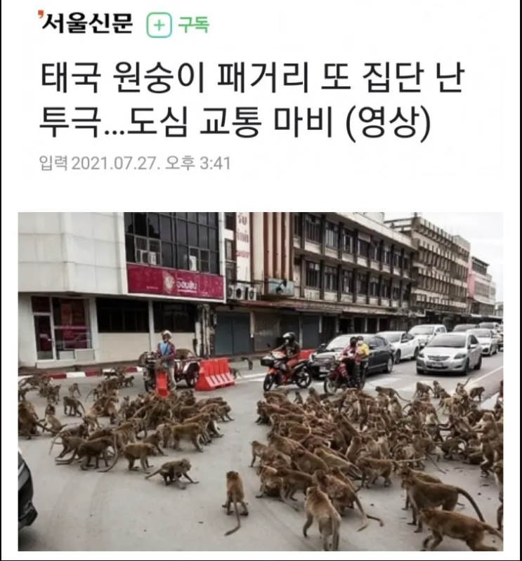 태국 길거리 패싸움