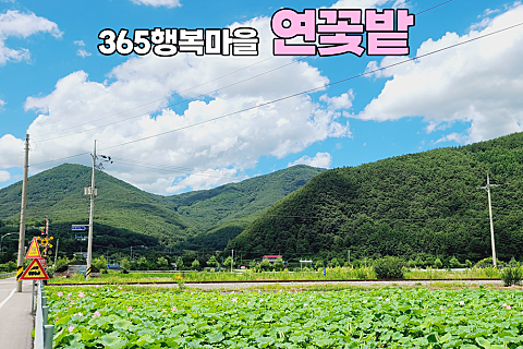 365행복마을 이미지