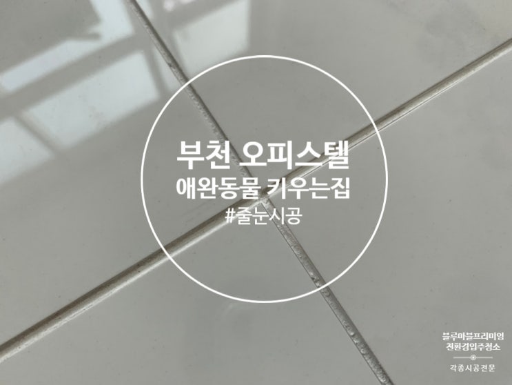  부천 줄눈 시공 오피스텔 강아지 키우는 집에는 필수